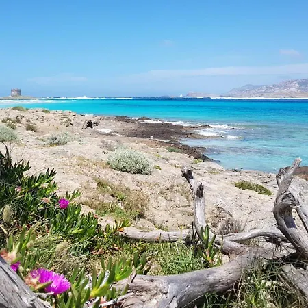 Apartmán Superior: Terrazza Park Vicino Mare E Centro Alghero